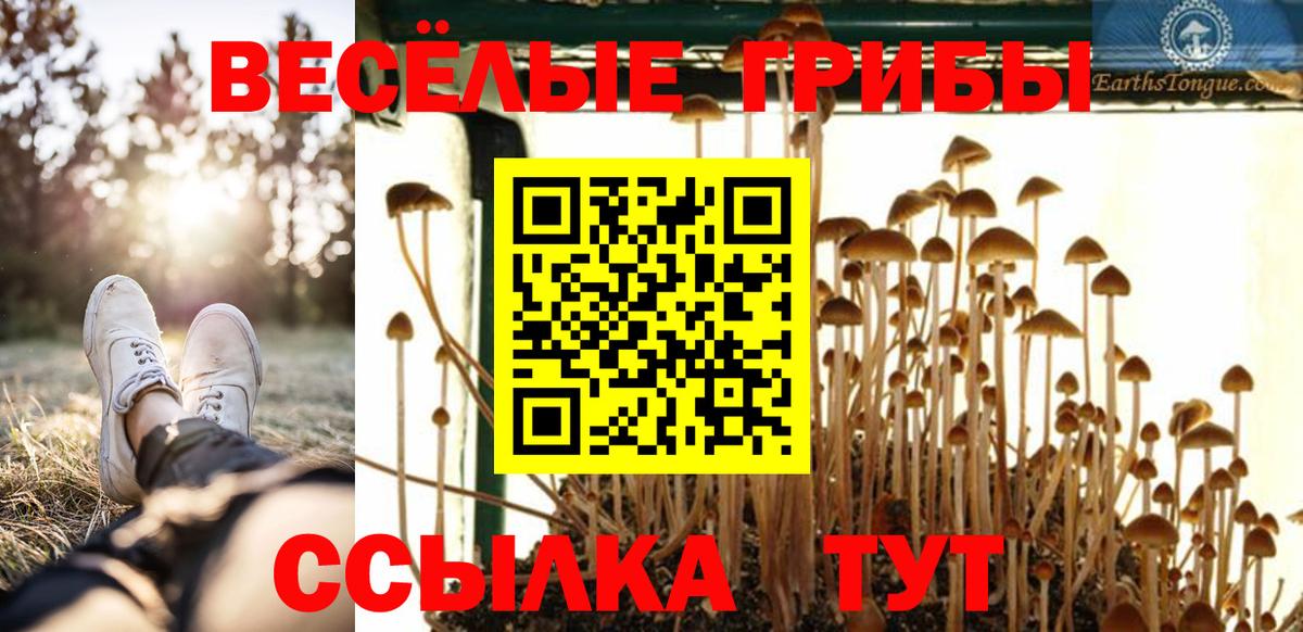 Псилоцибиновые грибы Psilocybine cubensis Майский